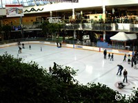 Ice Palace, West Edmonton Mall